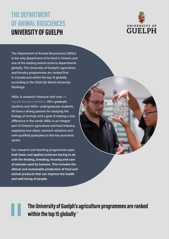Client presentations
